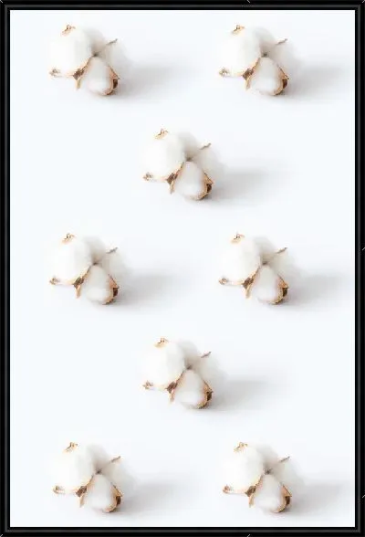 Картина Бутоны хлопка