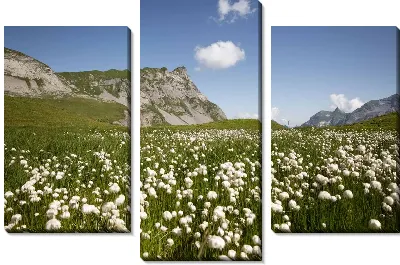 Модульная картина Зеленое поле хлопка