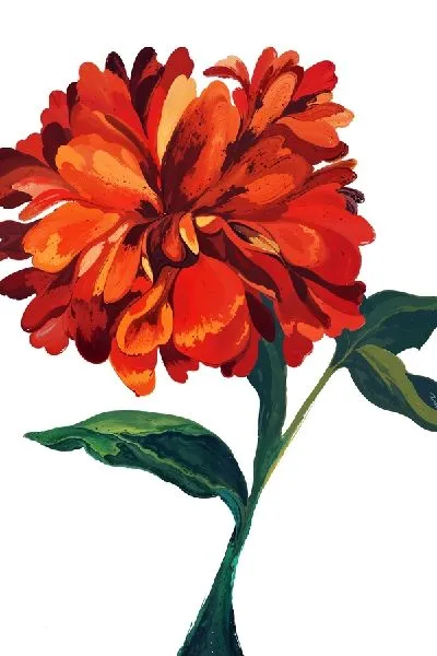 Плакат Георгина на белом фоне №2