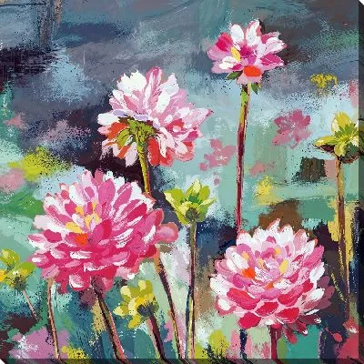 Постер Георгины в природе