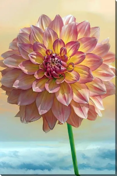 Картина маслом Георгина и облака