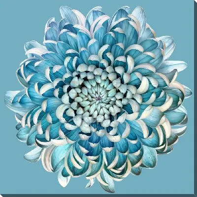 Картина маслом Лазурная георгина