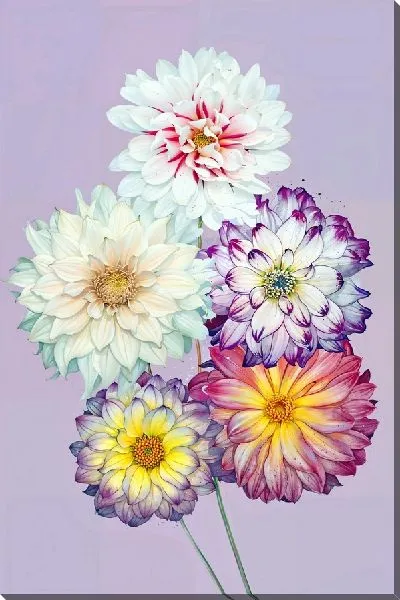 Картина маслом 5 георгин