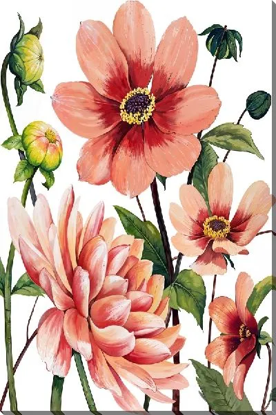 Картина маслом Георгины на белом фоне №3