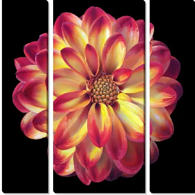 Модульная картина Георгина №8