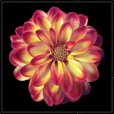 Картина Георгина №8