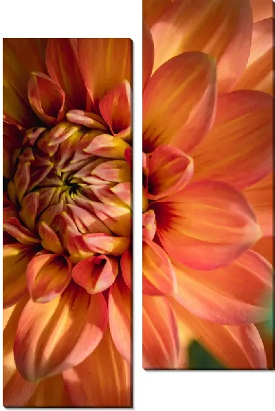 Модульная картина Георгина №38