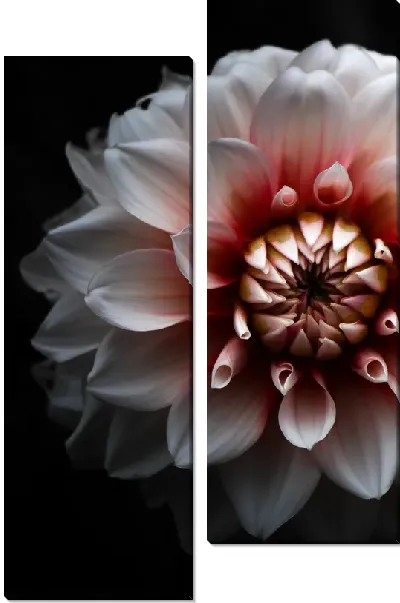 Модульная картина Георгина №42