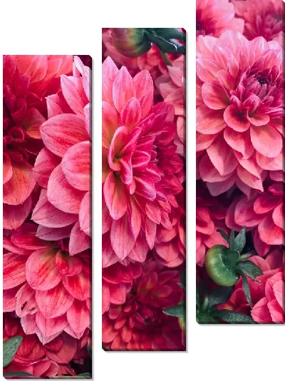 Модульная картина Георгины №44