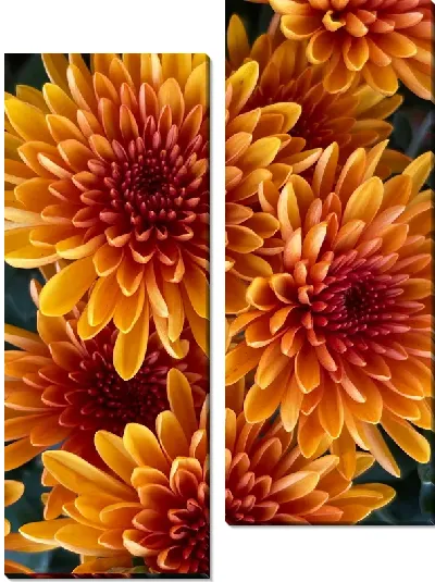 Модульная картина Георгины №49