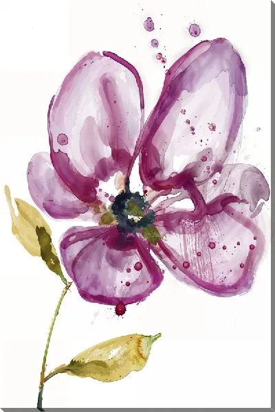 Постер Фиалка №5