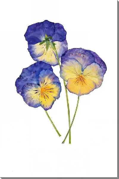 Картина маслом Композиция с фиалками №14