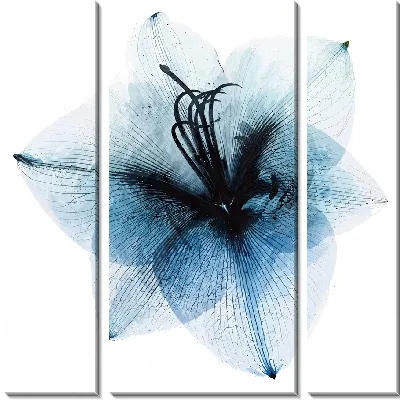 Модульная картина Амариллис полупрозрачный