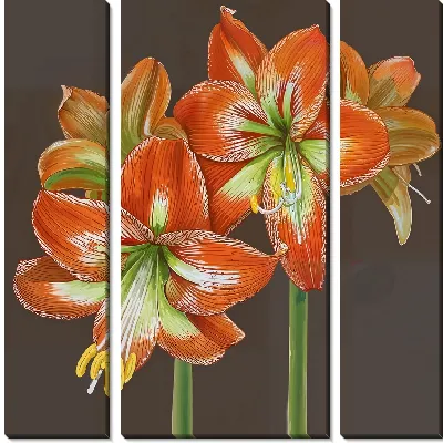 Модульная картина Амариллисы №2