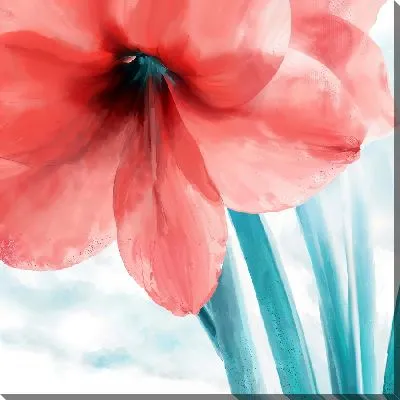 Картина маслом Амариллис №4