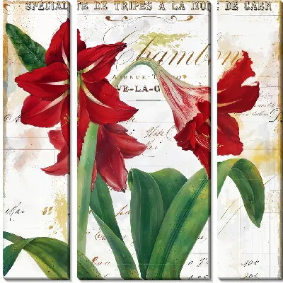 Модульная картина Амариллисы №6