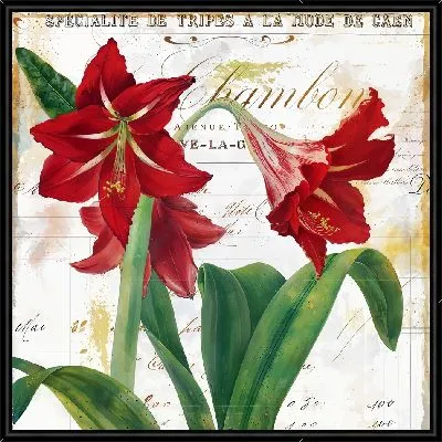 Картина Амариллисы №6