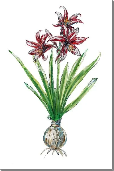 Картина маслом Амариллис №7
