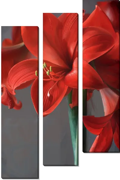 Модульная картина Амариллис №8
