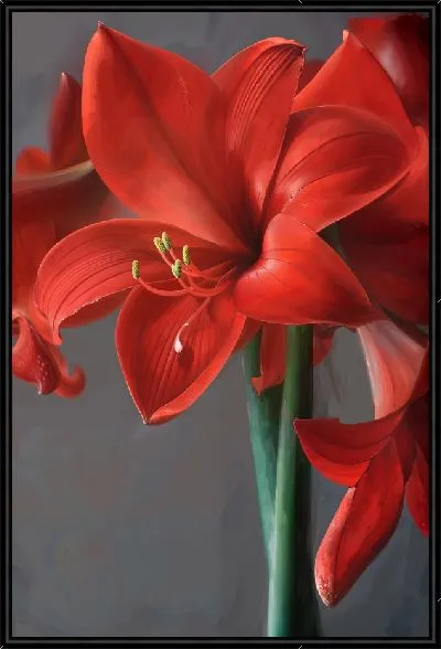 Картина Амариллис №8
