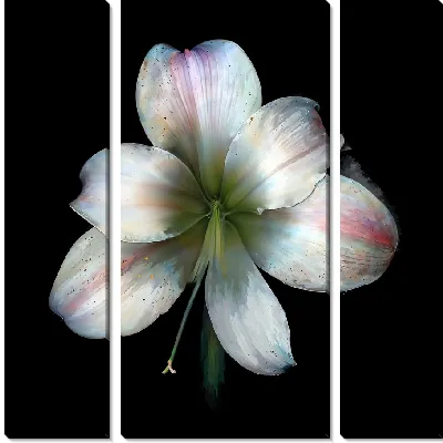 Модульная картина Амариллис №14