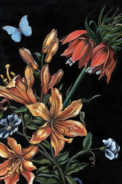 Плакат Амариллисы и бабочка