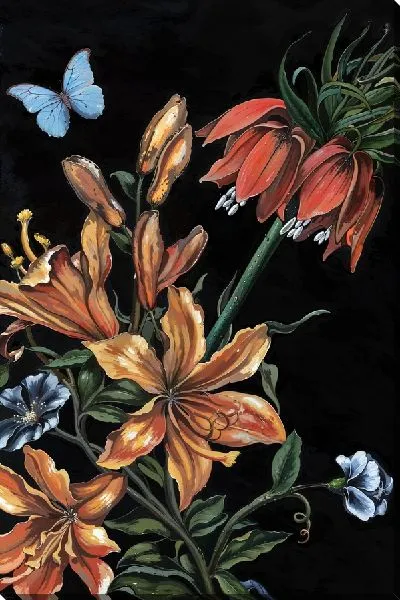 Постер Амариллисы и бабочка