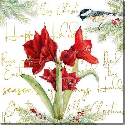 Амариллис и птица