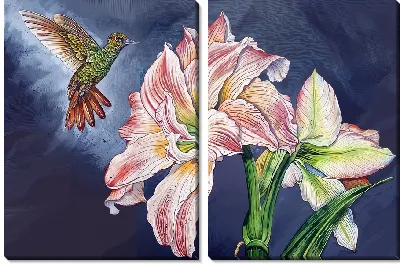 Амариллис и птица №4