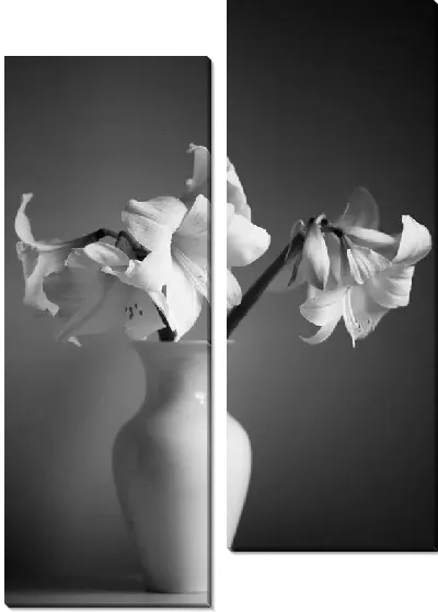 Модульная картина Амариллисы в белой вазе