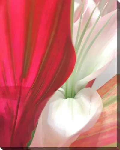 Картина маслом Макро амариллис №3