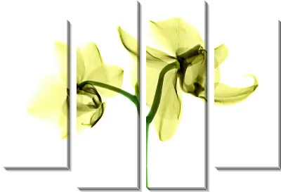 Модульная картина Амариллис №29