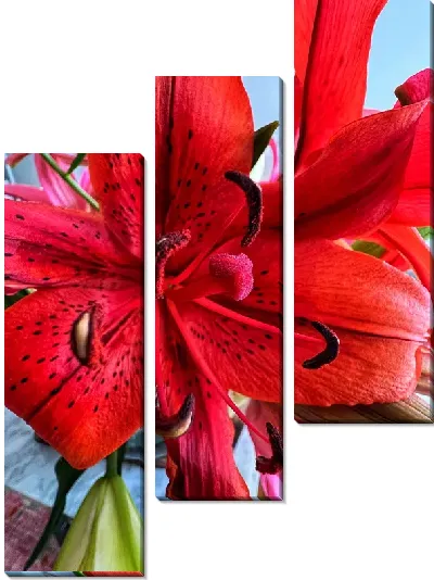 Модульная картина Амариллис №30