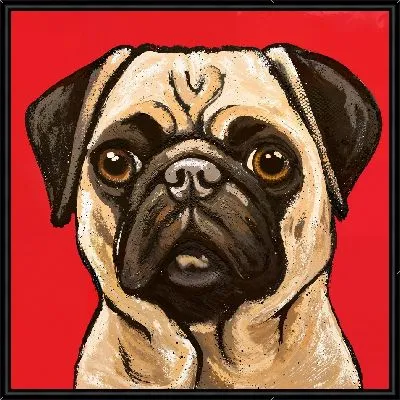 Мопс на красном фоне