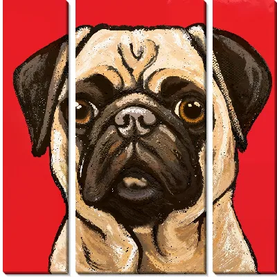 Мопс на красном фоне