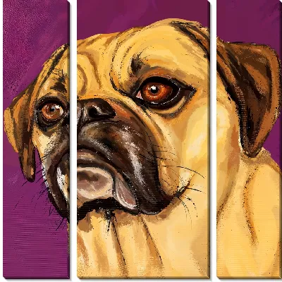 Модульная картина Мопс на сиреневом фоне
