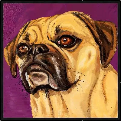 Мопс на сиреневом фоне