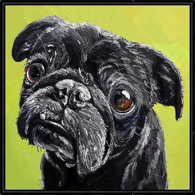 Черный мопс