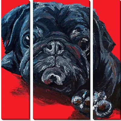 Модульная картина Мопс на алом фоне