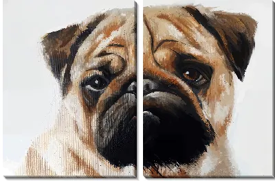 Модульная картина Мопс на светлом фоне