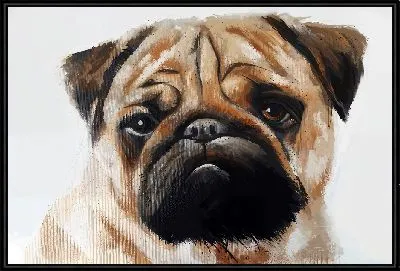 Картина Мопс на светлом фоне