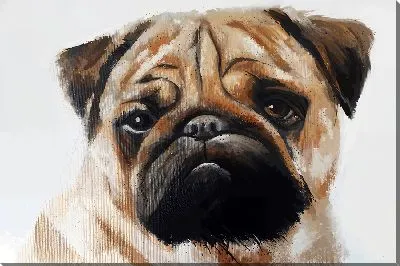 Картина маслом Мопс на светлом фоне