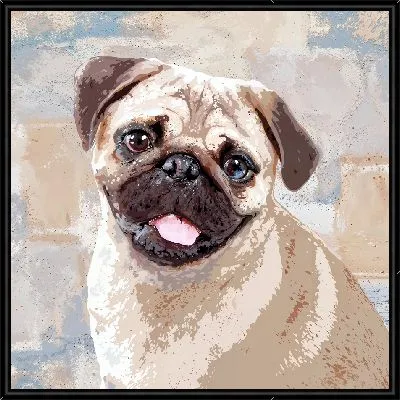 Улыбающийся мопс