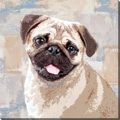 Улыбающийся мопс