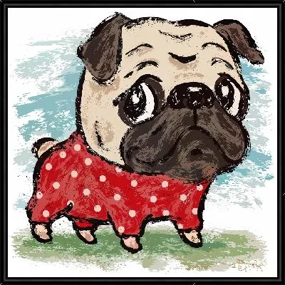 Мопс в одежде