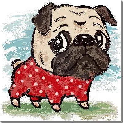 Мопс в одежде