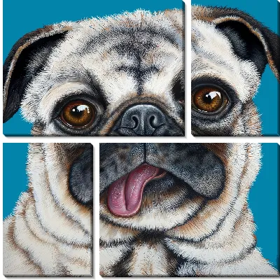 Модульная картина Мопс с языком