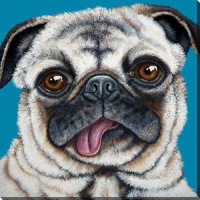 Мопс с языком