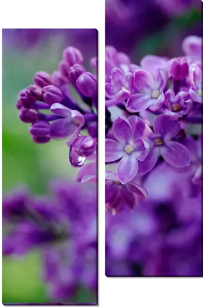 Модульная картина Яркие цветы сирени