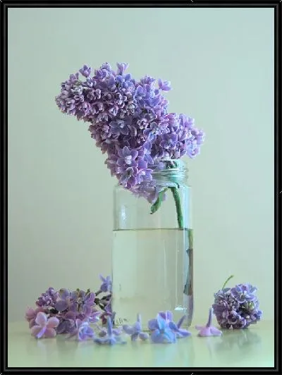 Картина Сирень в банке